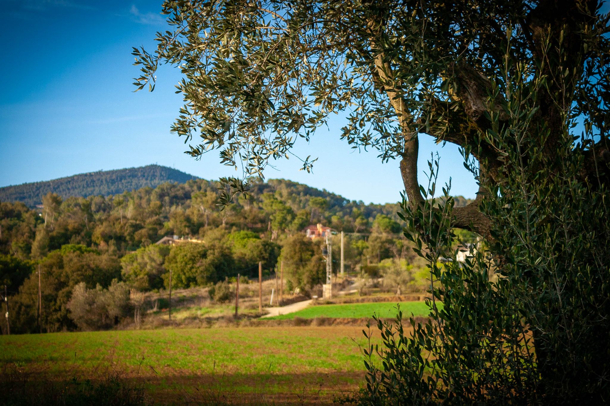 Paisatges